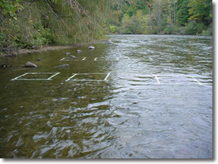 Arrays in Muskegon River